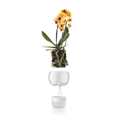 Blumentopf mit Wasserreservoir Eva Solo groß Ø 15 cm / für Orchideen - Weiß - Glas