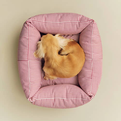 Hay Dogs Dog bed textile red / XS - 43 x 52 cm - Hay - Red & White stripes - Recycled polyester