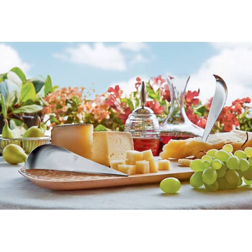 Couteau à fromage Antechinus métal - Alessi - Acier - Acier