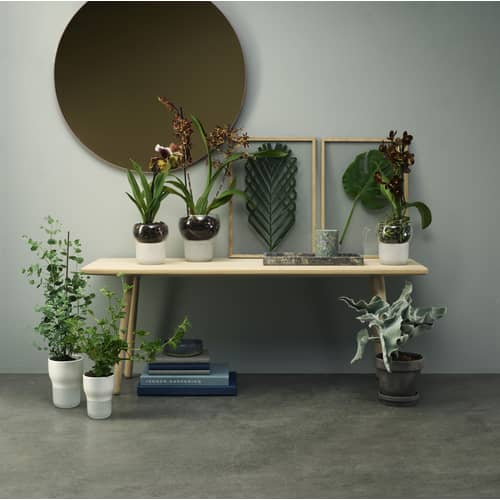 Blumentopf mit Wasserreservoir Eva Trio gro  15 cm / fr Orchideen - Wei  - Glas | Made In Design
