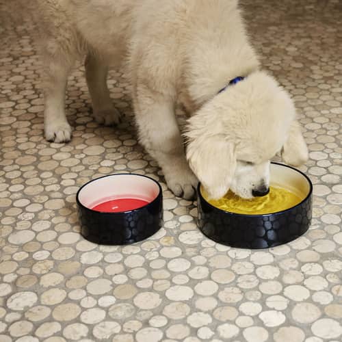 Hundenapf & Katzennapf Hay Dogs keramik blau / Small - Ø 15,5 x H 7 cm - Hay - Dunkelblau / Innenseite ecru - Sandstein