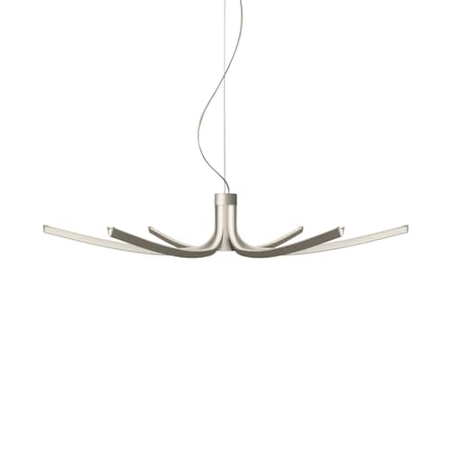 Pendelleuchte Asteria LED metall / Ø 105 cm - Foscarini - Titan - extrudiertes Aluminium