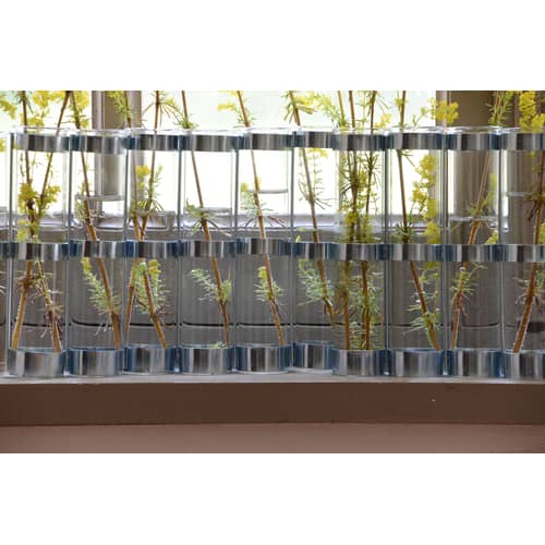 Vase d\'Avril métal verre transparent / L 74 x H 15 cm - Tsé-Tsé - Medium - L 74 x H 15 cm - Acier zingué, Verre