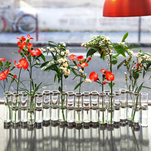 Vase d\'Avril Petit verre transparent / L 55 cm x H 10 cm - Tsé-Tsé - Small - L 55 x H 10 cm - Acier zingué, Verre soufflé