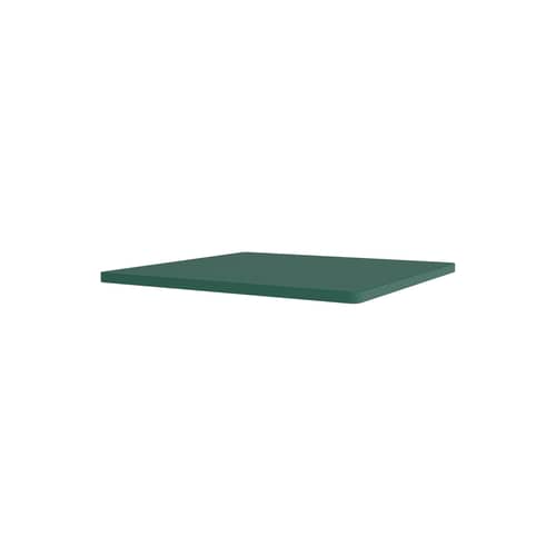 Zubehör  holz grün / Internes Regal für Panton Wire Single - B 33 x T 34,8 cm - MONTANA - Pinie 136 - lackierte Holzfaserplatte