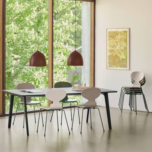 Chaise empilable Fourmi bois blanc / Bois teinté - Arne Jacobsen, 1952 - Fritz Hansen - Blanc / Pieds blancs - Acier laqué, Contreplaqué de frêne teinté