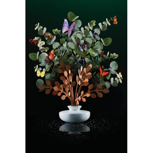 Diffuseur de parfum The Five Seasons     / Porcelaine - H 22,5 cm - Alessi - 150 ml - Brrr - Acajou, Porcelaine