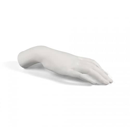 Décoration Memorabilia Mvsevm céramique blanc / Main féminine - Seletti - Main femme / Blanc - Porcelaine