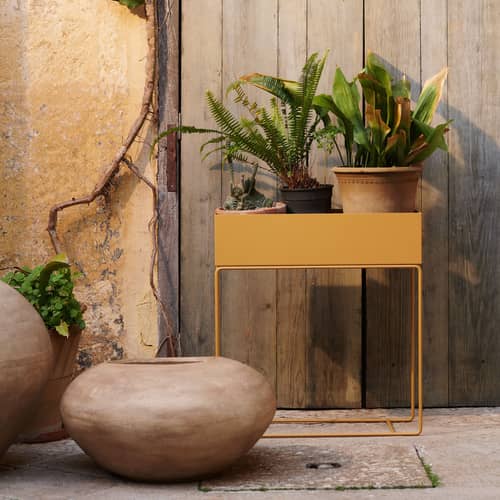 hanging bedroom plant Plant Hanging Kit main image 1