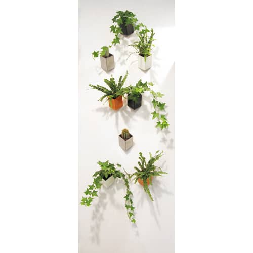 Pot de fleurs mural Off the wall céramique blanc / Small Prof 8 cm - Thelermont Hupton - Blanc - Céramique