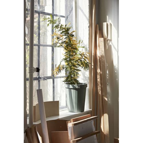Cestino per la carta Shade materiale plastico verde / Ø 30 x H 37 cm - Hay - Verde chiaro - Polipropilene riciclabile