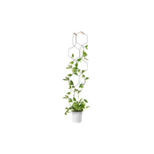 Treillage Anno métal noir / Set 8 hexagones modulables - Compagnie - Noir / Patères hêtre - Acier, Hêtre