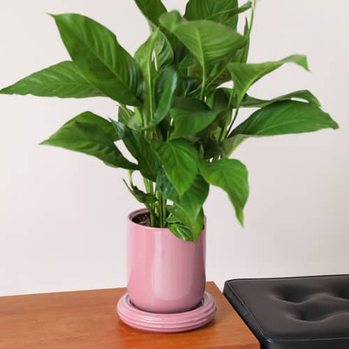 Pot de fleurs Churros / Ø 19.5 x H 21 cm - & klevering - Rose Blush - Grès