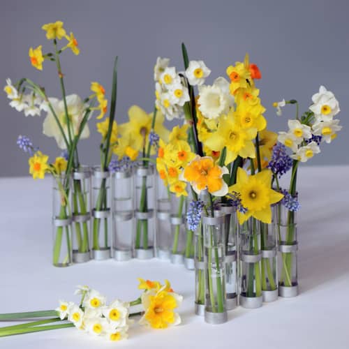 Vase d\'Avril métal verre transparent / L 74 x H 15 cm - Tsé-Tsé - Medium - L 74 x H 15 cm - Acier zingué, Verre
