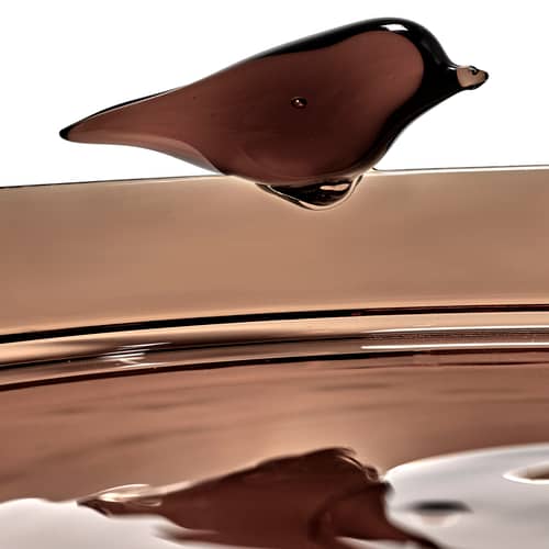 Plateau Perch verre marron / Large - Ø 35 cm - Serax - Ambre - Verre