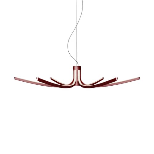 Asteria LED Pendant metal red / Ø 105 cm - Foscarini - Dark red - Extruded aluminium
