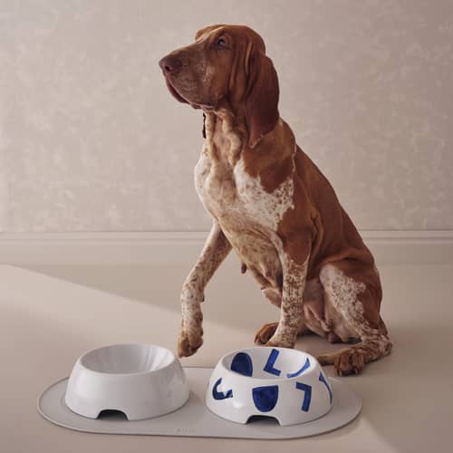 Gamelle pour chien Itsumo céramique / Bol à nourriture - Large Ø 25 cm - Alessi - Bol nourriture - Porcelaine