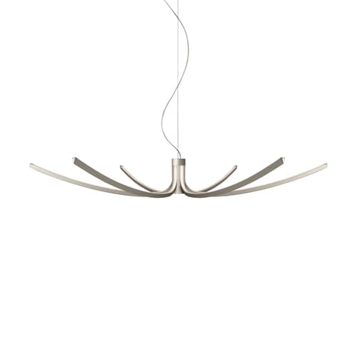 Pendelleuchte Asteria LED metall / Ø 143 cm - Foscarini - Titan - extrudiertes Aluminium
