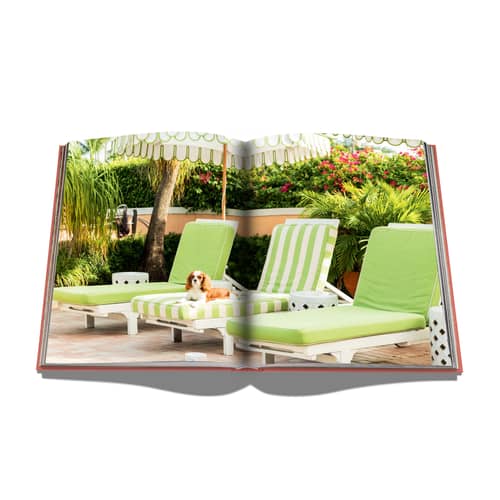 Buch Palm Beach papierfaser bunt / Englische Sprache - Editions Assouline - Palm Beach - Leinen, Papierfaser