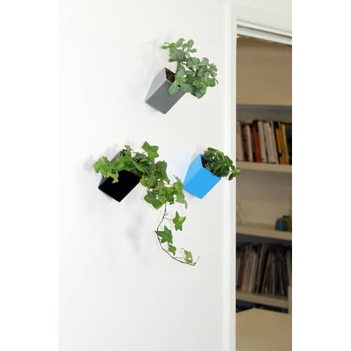 Wand-Blumentopf Off the wall keramik weiß / Wandbefestigung - klein - T 8 cm - Thelermont Hupton - Weiß - Keramik