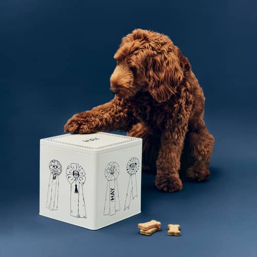 Boîte à croquette  métal bleu / Pour chien - Hay - Blanc & bleu - Fer blanc