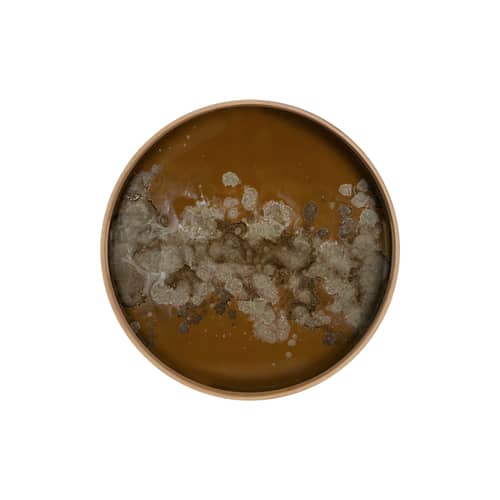 Organic Tray wood orange / Ø 48 cm - Ethnicraft - Organic / Bronze & Oak - Glass, Oak veneer