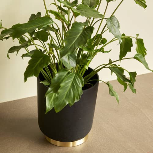 Set de 2 pot de fleurs Among gris  - HÜBSCH - Noir - Polyrésine, Poudre de pierre