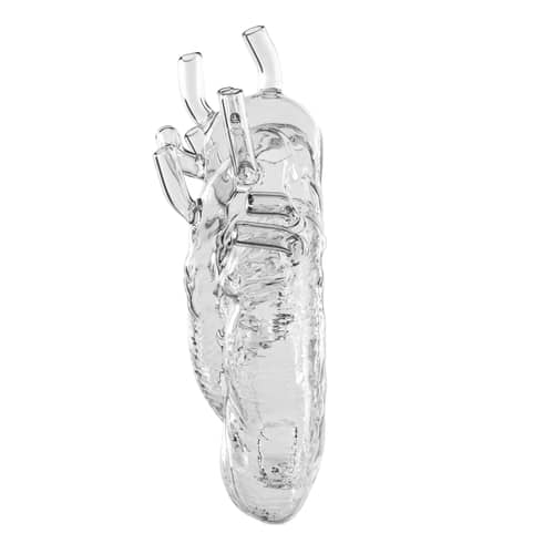 Love in Bloom Vase glass transparent / Human heart - Glass / H 24 cm - Seletti - Transparent - Glass