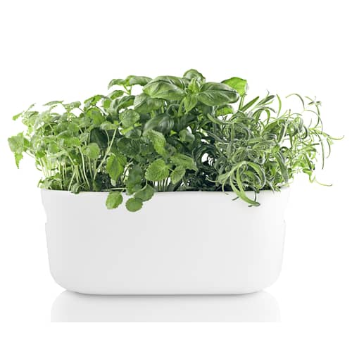 Pot à réserve d\'eau Herb céramique blanc / Bac à herbes aromatiques - Eva Trio - Blanc - Céramique, Nylon, Plastique
