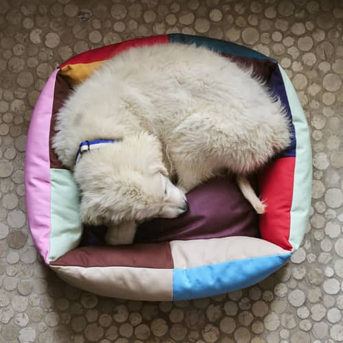 Hay Dogs Dog bed textile multicoloured / Small - 52 x 60 cm - Hay - Multicoulered - Recycled polyester