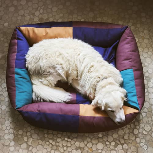 hundebett auto rcksitz groe hunde Der Pawket