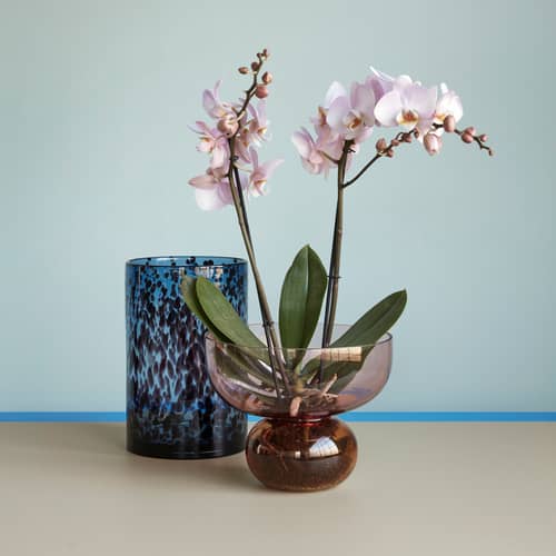 Vase Show verre multicolore / Coupe - Ø 25 x H 20 cm - HÜBSCH - Rose / Ambre - Verre soufflé bouche