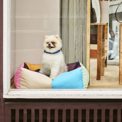 Hundebett Hay Dogs textil bunt / Small - 52 x 60 cm - Hay - Bunt - Recyceltes Polyester
