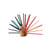 Porte-crayons Peacock bois naturel / 24 crayons inclus - EO