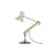 Tischleuchte Type 75 Mini metall bunt / von Paul Smith - Edition N° 1 - Anglepoise