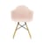 RE DAW - Eames Plastic Armchair Armchair plastic material pink / (1950) - Light wood legs / Recycled - Vitra
