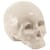 Décoration Memorabilia My Skull céramique blanc / Crâne en porcelaine - Seletti