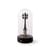 My Little Corner LED Table lamp glass transparent / LED - H 22 cm - Seletti