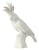 Décoration Cacatoès céramique blanc / Porcelaine - H 33 cm - POLSPOTTEN