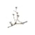 Chandelier Twiggy métal argent / L 30 x H 30 cm - POLSPOTTEN
