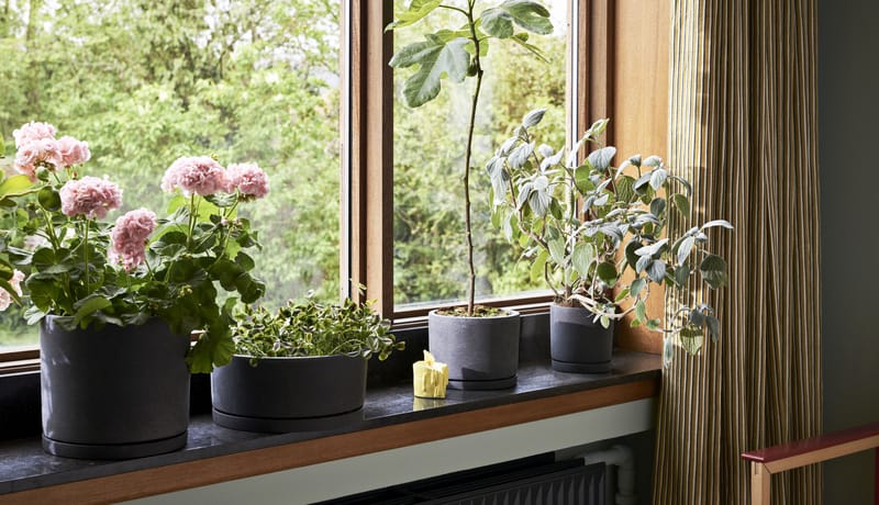 Pot de plantes avec soucoupe Hay, Design minimaliste