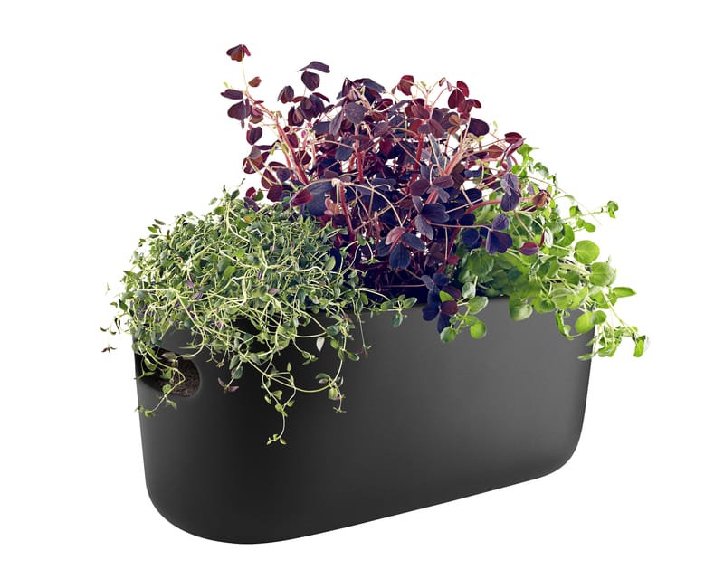 Décoration - Pots et plantes - Pot à réserve d\'eau Herb céramique noir / Bac à herbes aromatiques - Eva Solo - Noir - Céramique, Nylon, Plastique