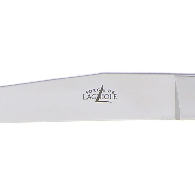 Laguiole knives Harmony, Laguiole colored plexi steak knives