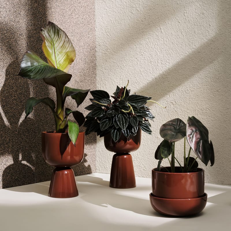 Large gamme de pots de fleurs pour vos plantes - Indoor Discount