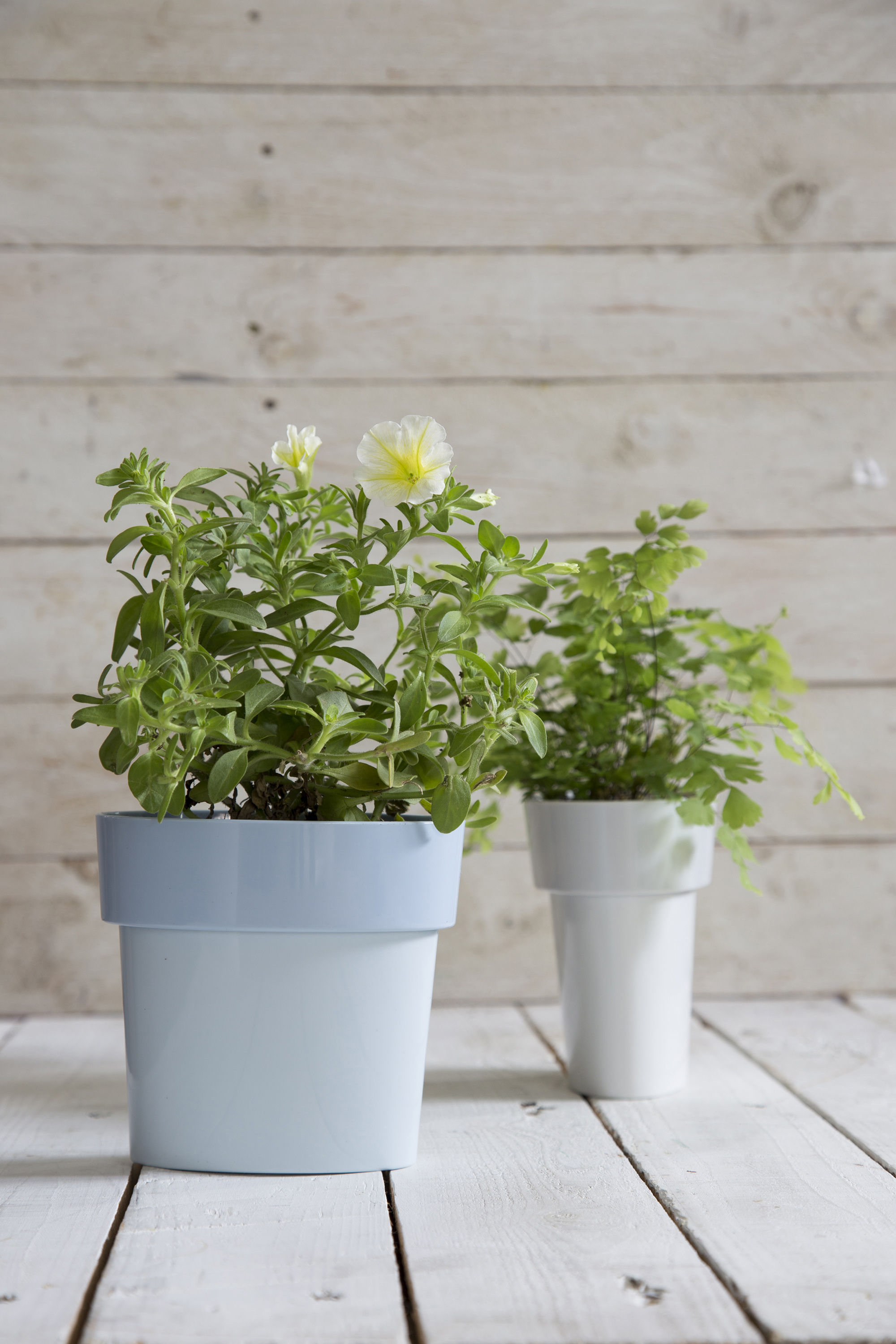 Blumentopf Slim von Pa Design - Grau | Made In Design