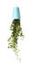 Sky Polypropylene Planter - Polypropylene Small - H 12.9 cm / Upside down planter by Boskke