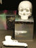 Décoration Memorabilia My Skull / Crâne en porcelaine - Seletti