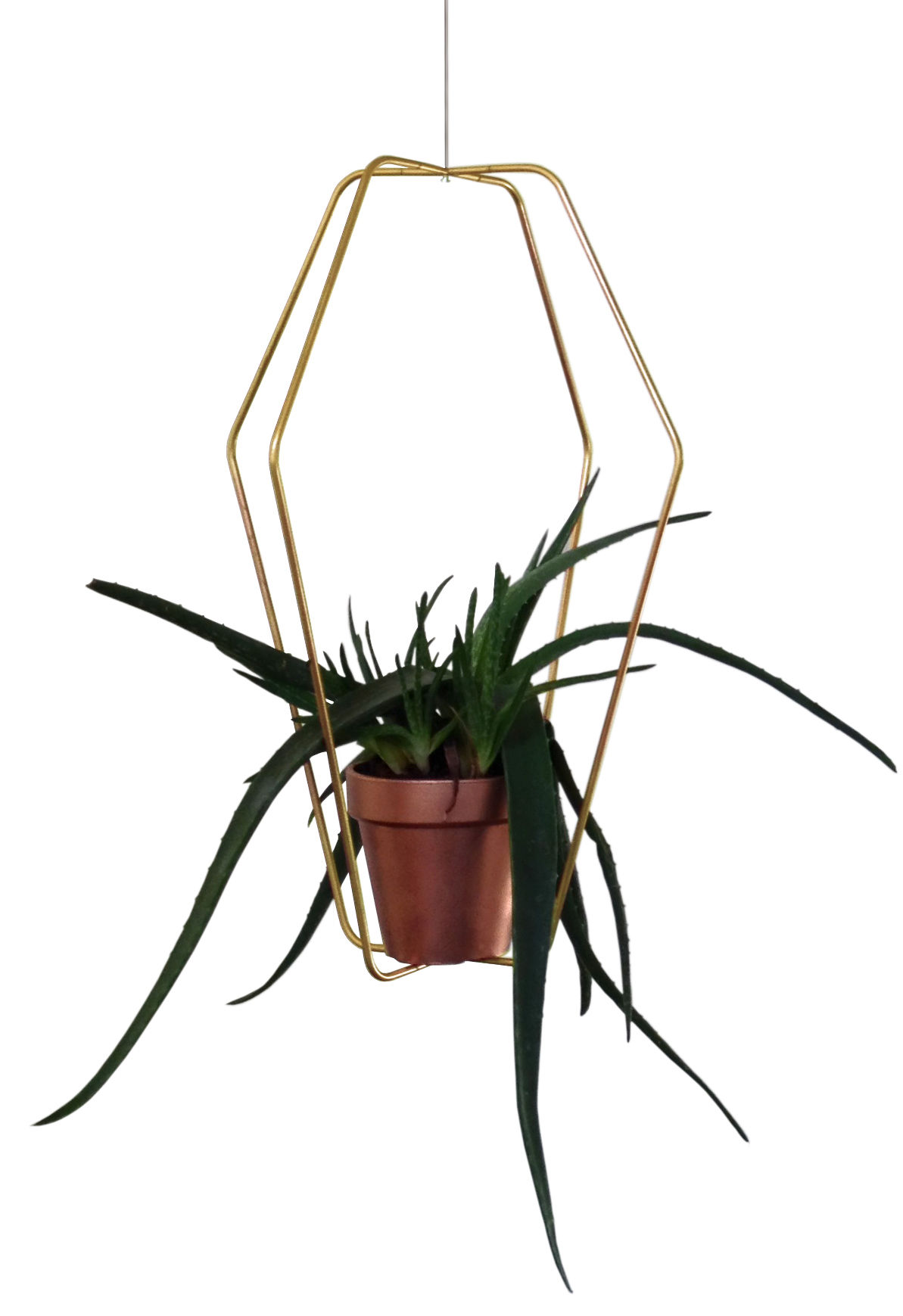 Halterung für Blumentopf Daniel n°1 von Compagnie Gold/Metall Made