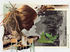 Papier peint panoramique Arkhipoff Landscape / 8 lés - L 372 x H 300 cm - Domestic