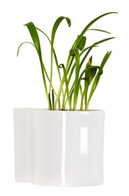 Outdoor - Pots & Plants - Hover Wall flowerpot - Porcelain - Ø 12 cm by Thelermont Hupton - White - China